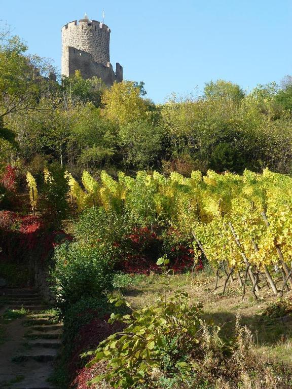 Hotel Les Remparts Kaysersberg-Vignoble Εξωτερικό φωτογραφία